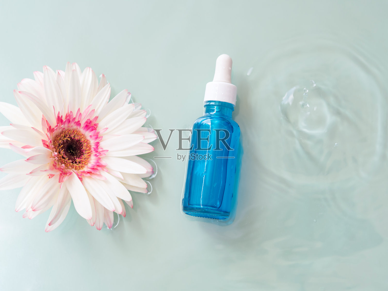 化妆品美容精华油酸瓶产品在水蓝绿色背景与白色雏菊水中照片摄影图片