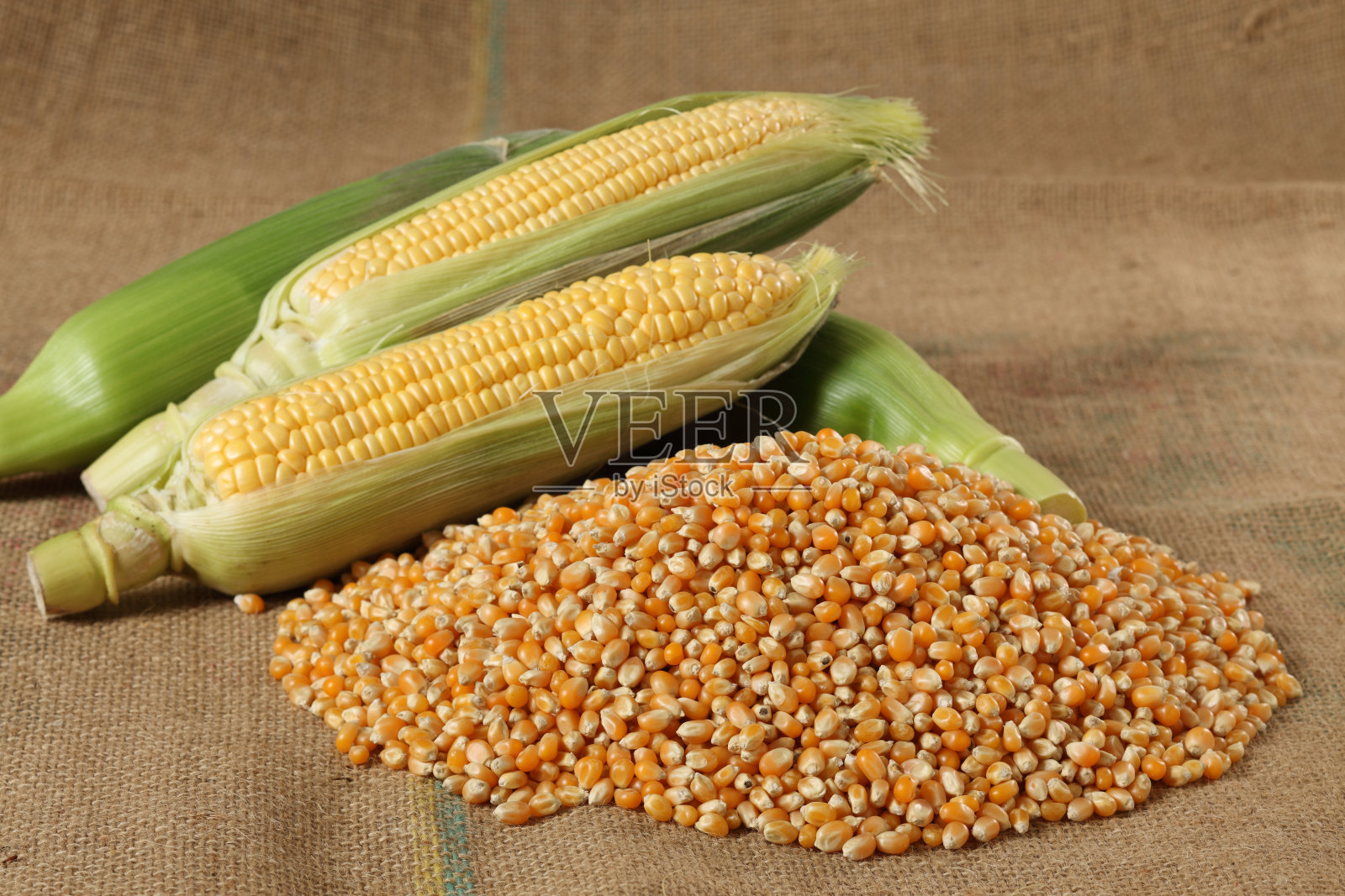 玉米粒和种子，玉米芯照片摄影图片