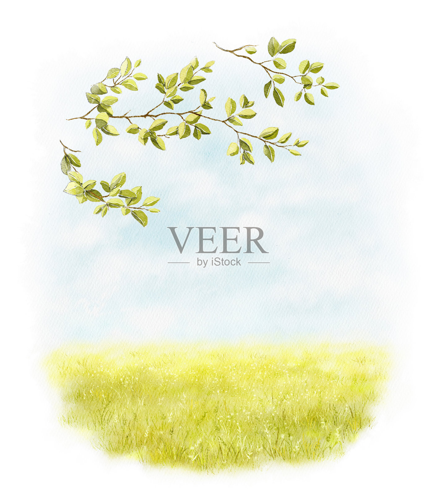 水彩插图的风景与夏季草地，树枝和天空插画图片素材