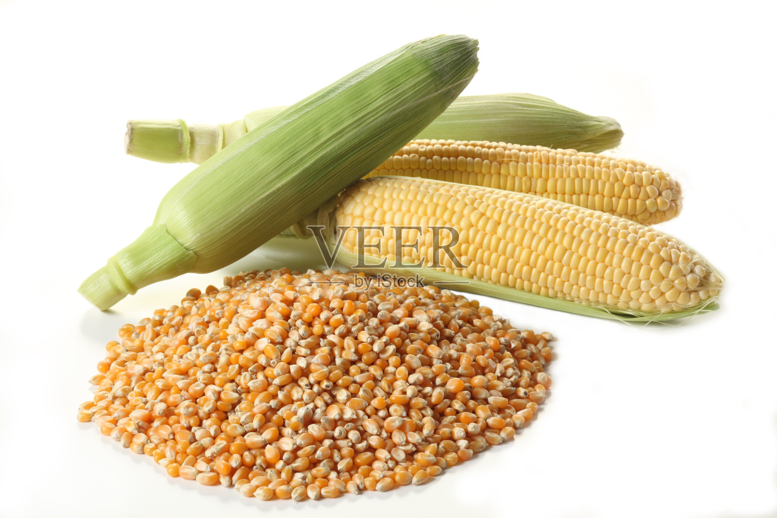 干玉米和新鲜玉米照片摄影图片