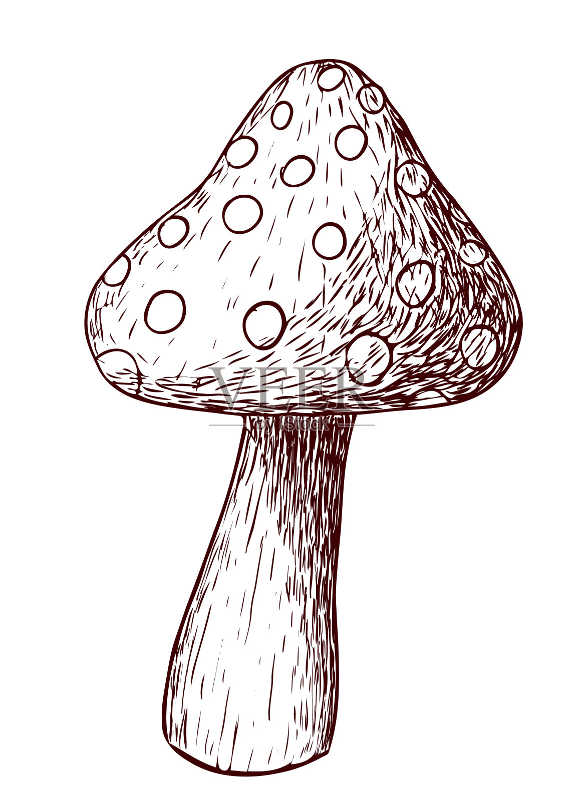在白色背景上分离的蘑菇蝇木耳插画图片素材
