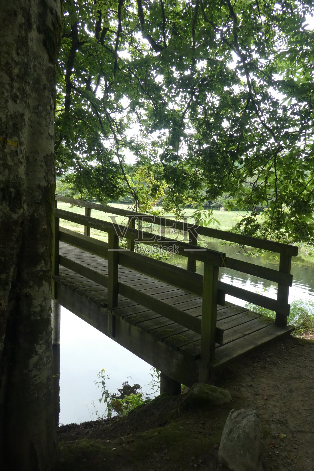 通往étang de Cheix的木桥照片摄影图片