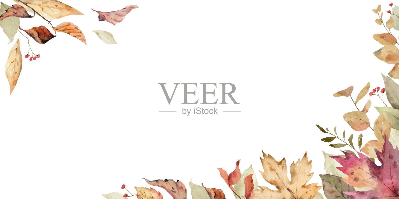 水彩向量横幅与秋天的叶子和树枝孤立在白色的背景。插图贺卡，婚礼请柬，花卉海报和装饰。插画图片素材