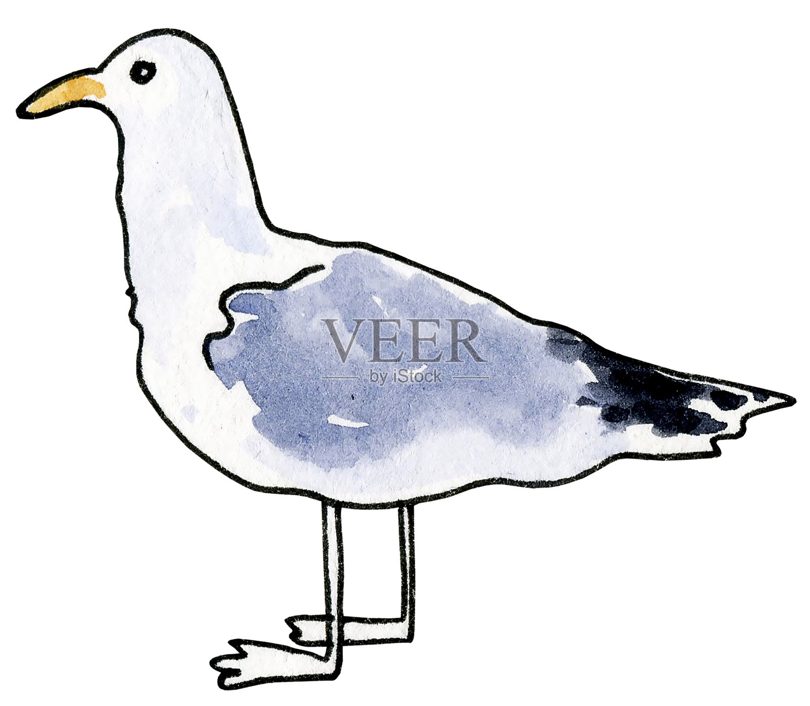 水彩seagool。飞行的海鸟。手绘scketch插画图片素材