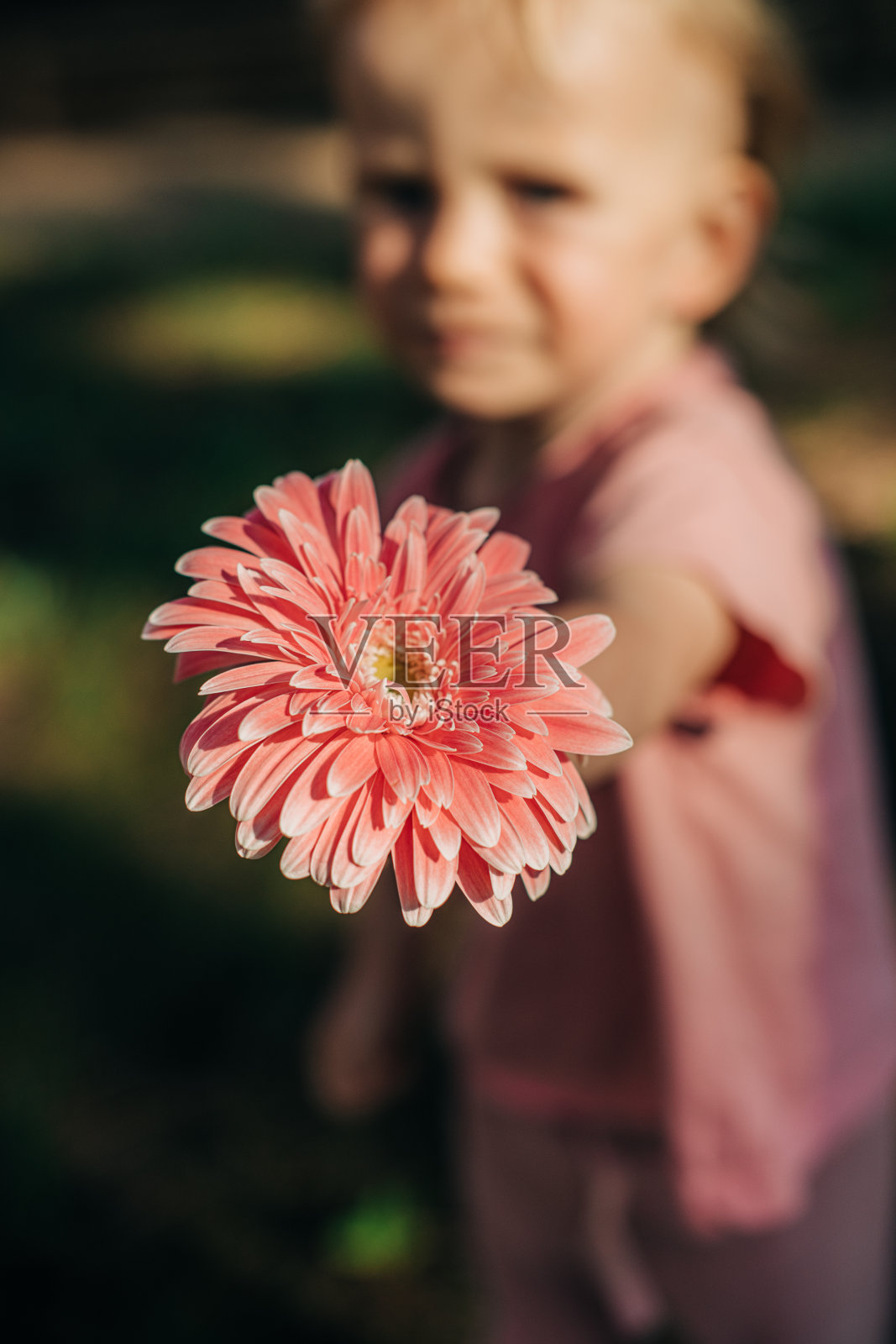 可爱的小孩拿着雏菊花的特写镜头照片摄影图片