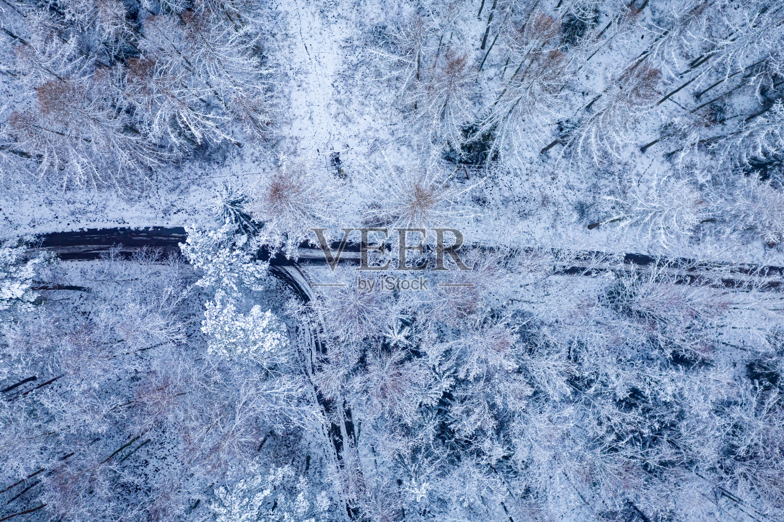 森林里的冬日雪路。在多雪的冬天旅行。照片摄影图片
