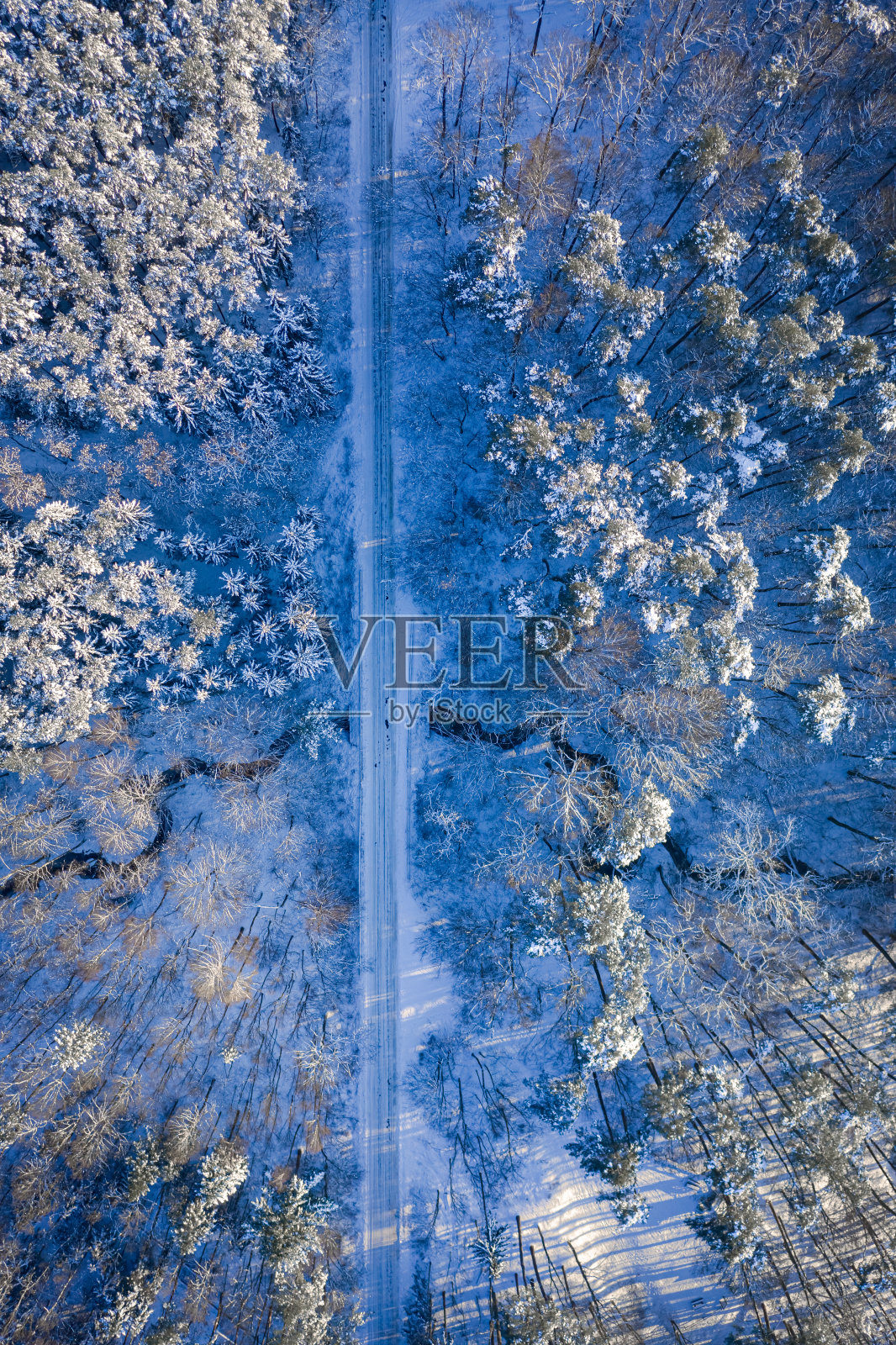 在冬天运输。冬天有雪的森林和道路。照片摄影图片