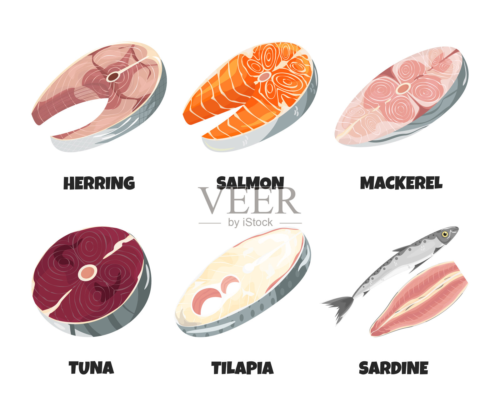 生鲜鱼排收集分离上白插画图片素材