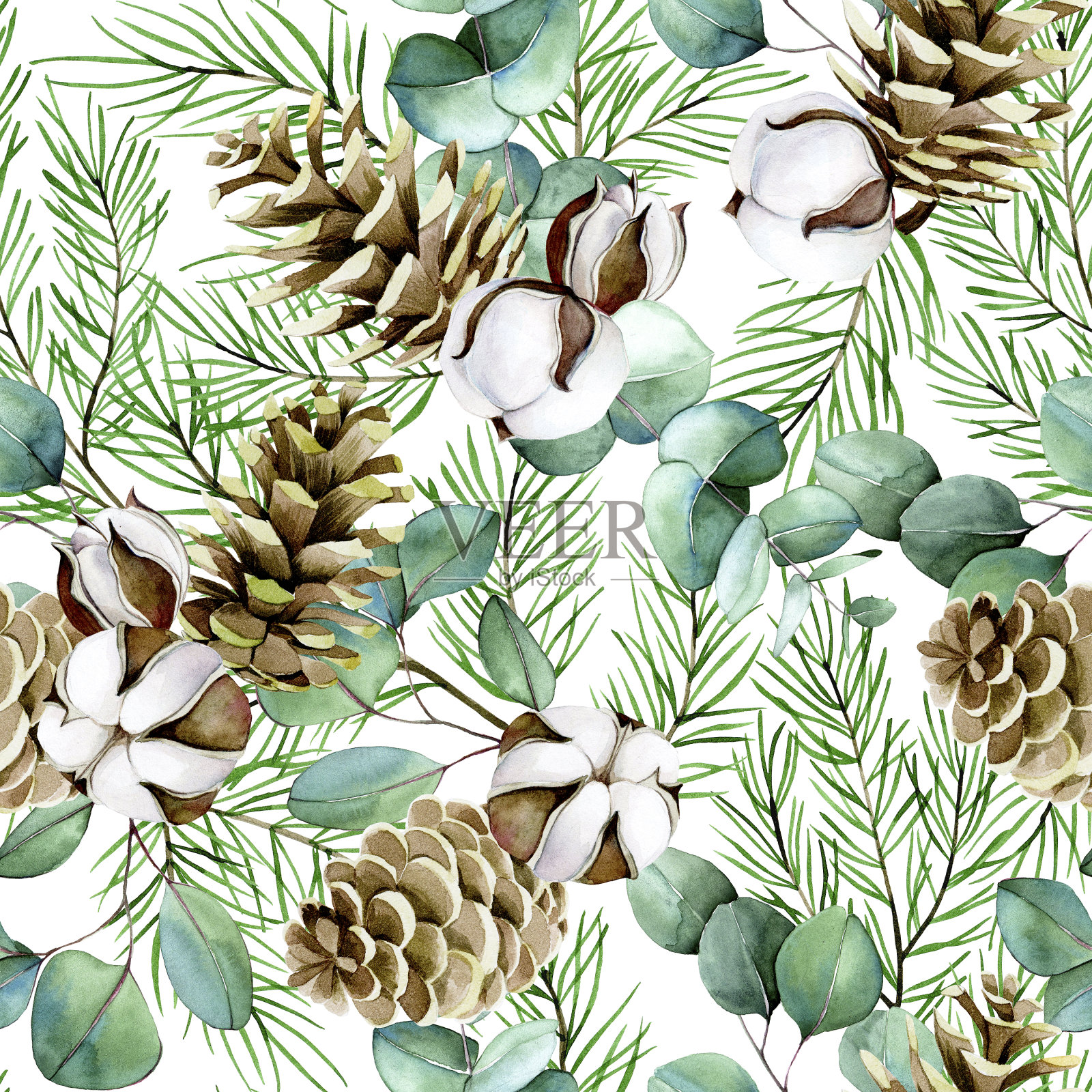 水彩无缝图案的主题冬季，新年，圣诞节。棉花花，桉树叶，冷杉树枝和球果在白色的背景上插画图片素材
