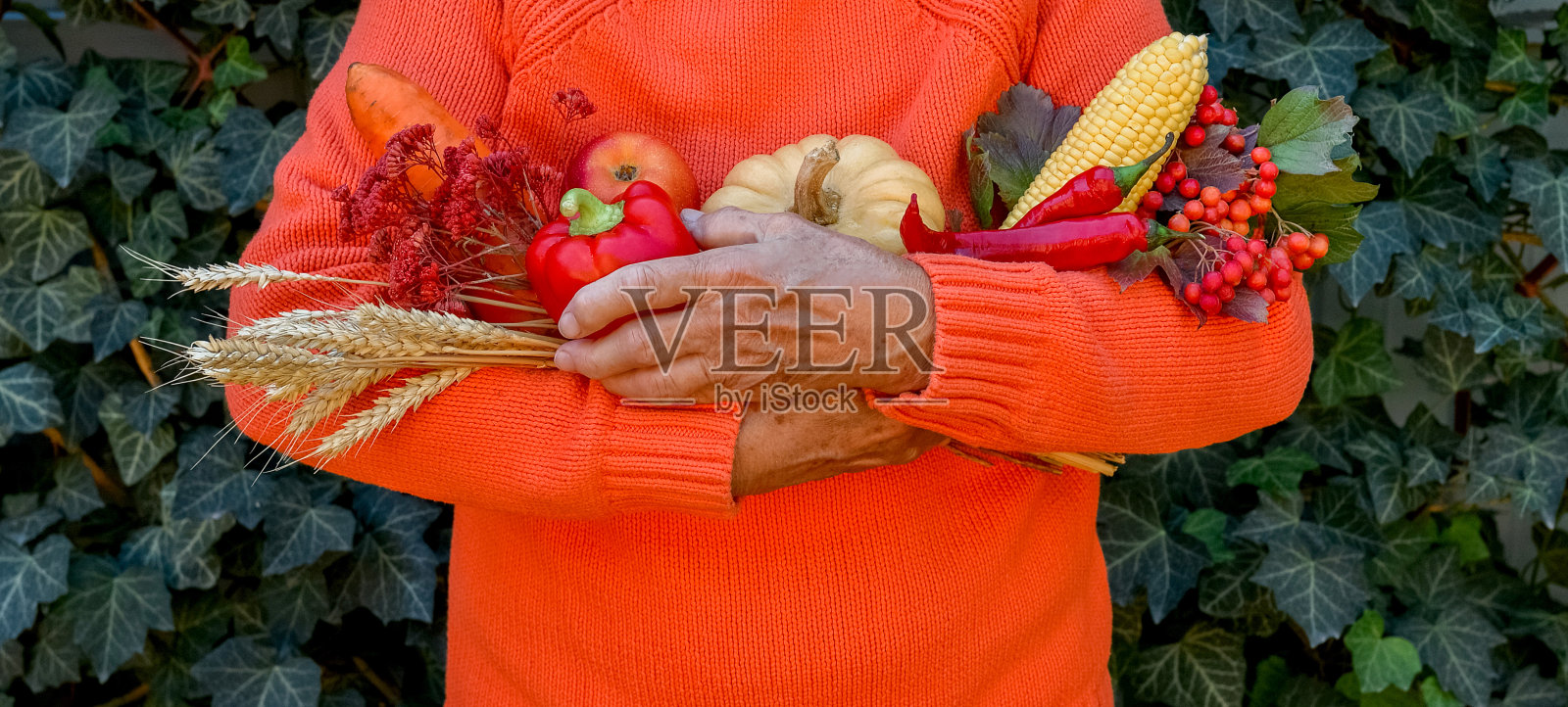 老婆婆手里拿着五颜六色的秋天蔬菜和水果照片摄影图片