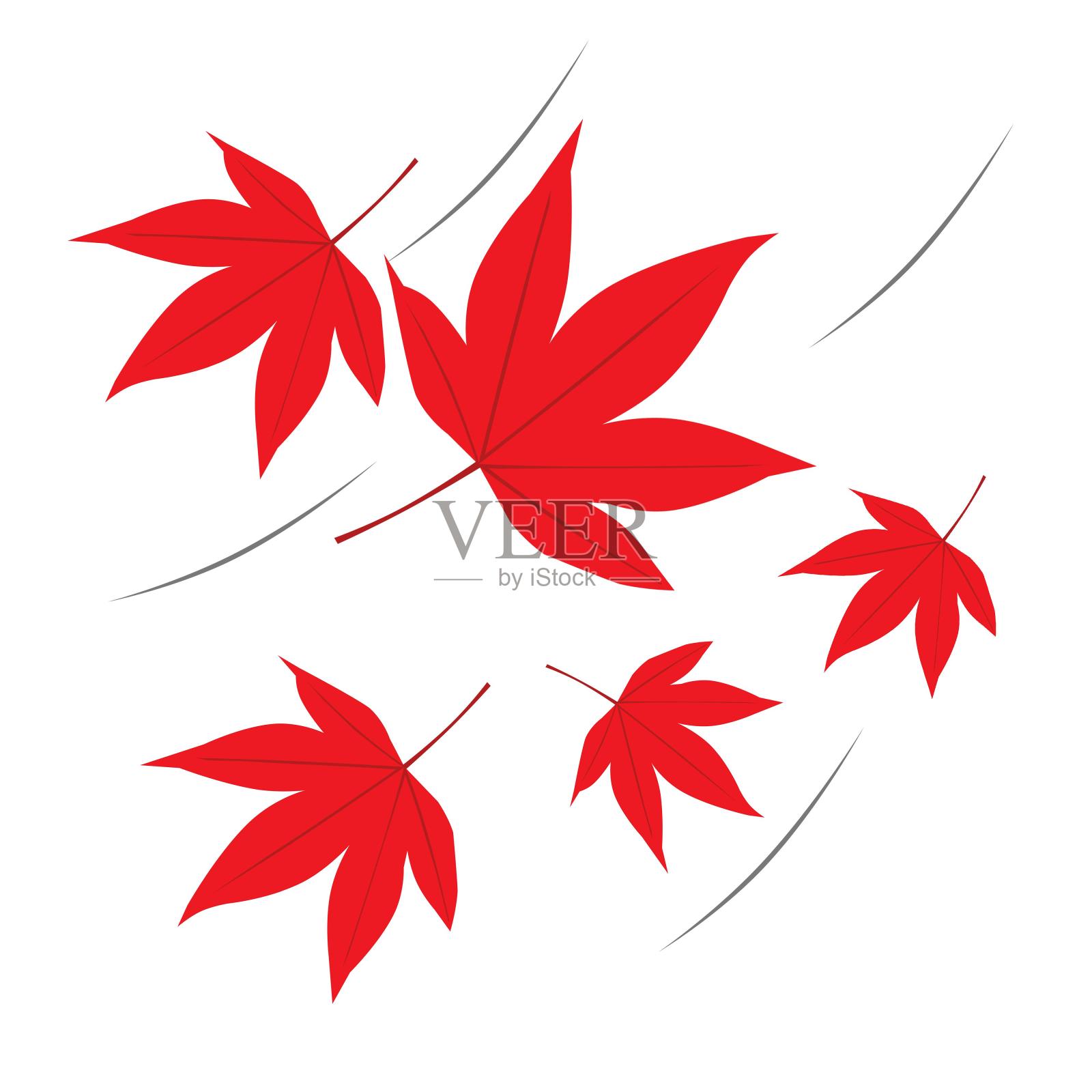 秋季红色枫叶设计元素图片