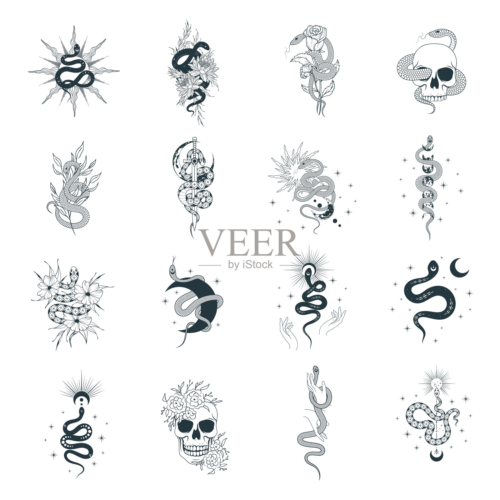 花与蛇——纹身手稿设计|插画|其他插画|二口巾几点 - 原创作品 - 站酷 (ZCOOL)