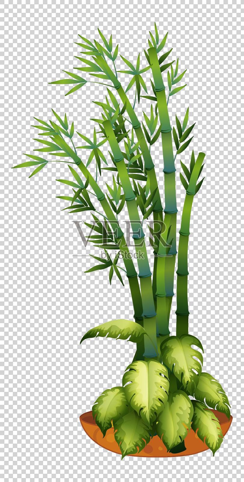 绿植盆栽竹子元素设计元素图片
