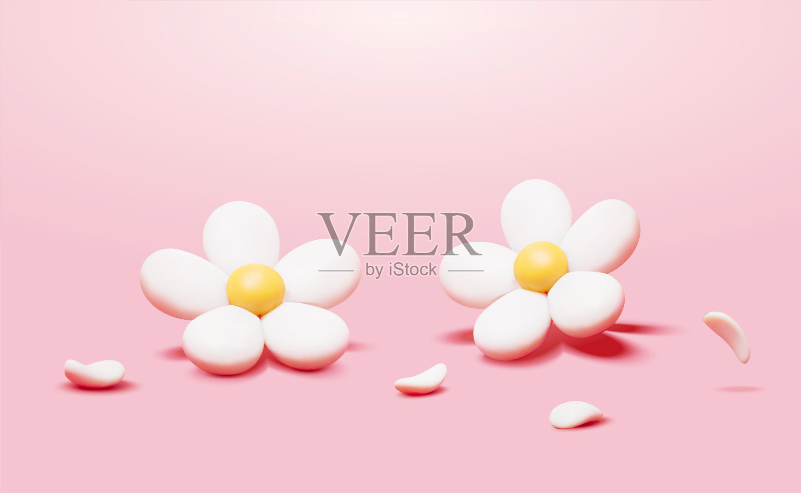 三维圆润白色雏菊花朵元素插画图片素材