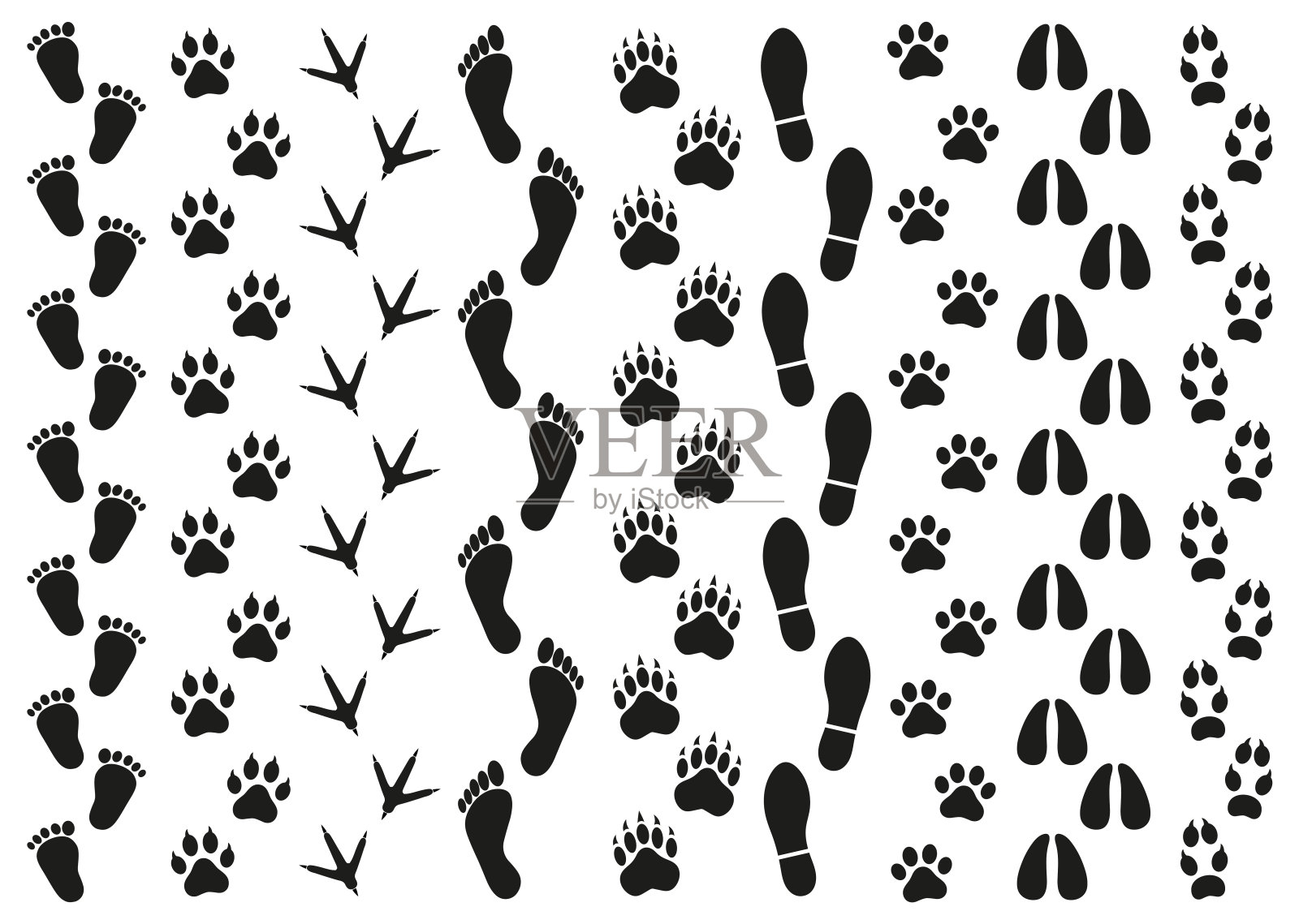 动物脚印图片 - 动态图库网