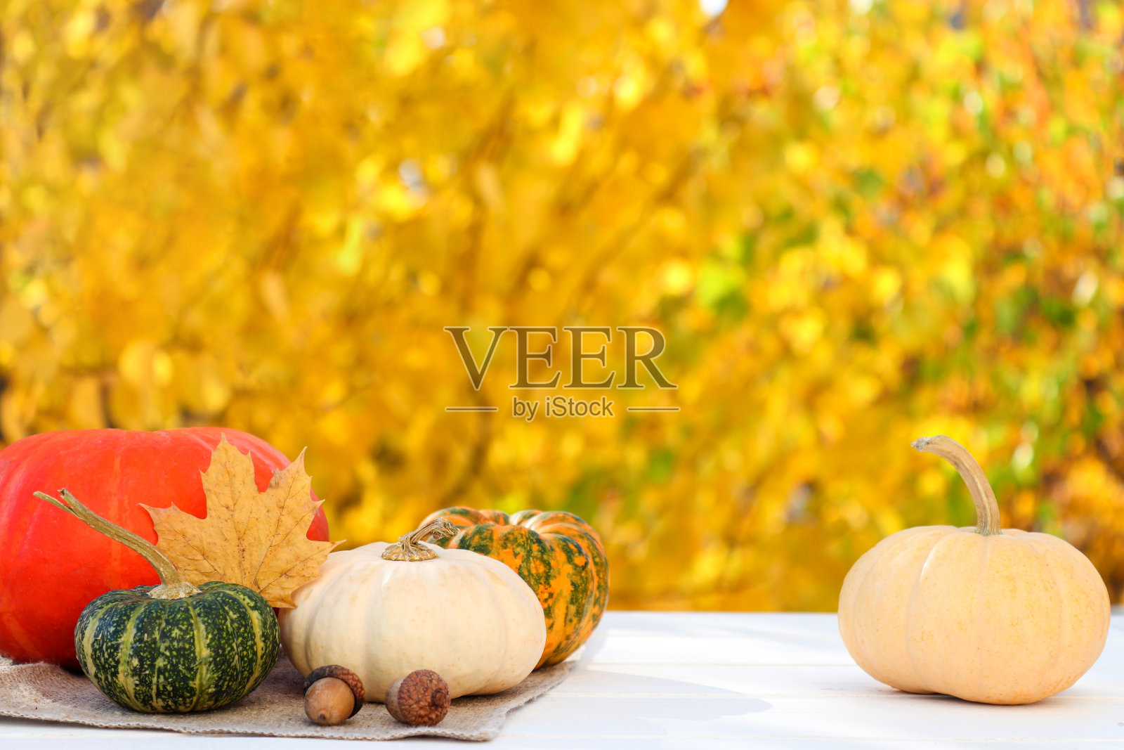 秋天的节日组成与南瓜和橡子在黄色的秋天树叶。复制空间，选择性聚焦照片摄影图片