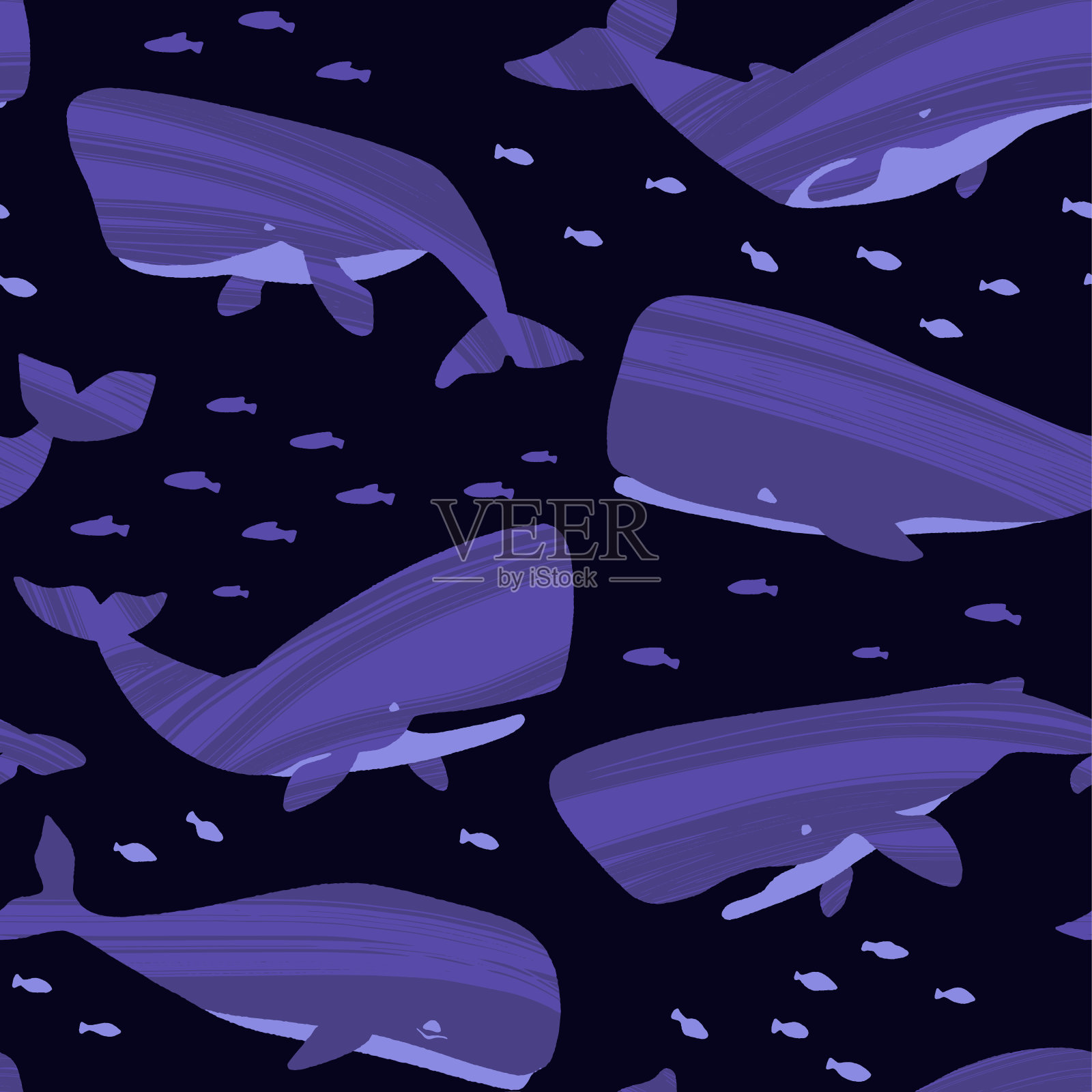 简笔画小百科（海洋动物：鲸鱼篇） - 哔哩哔哩