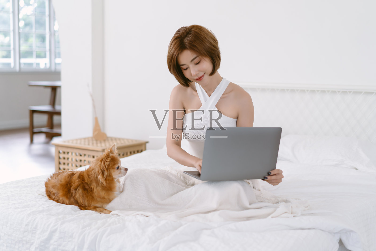 美丽的亚洲女孩白色露肩衣服亲吻她可爱的棕色吉娃娃狗在床上在卧室在家里。主人与宠物之间的亲情关系。友好的概念照片摄影图片