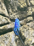 蓝虾摄影图片
