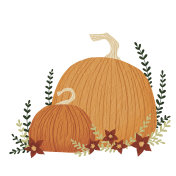 南瓜，rad花和蕨类叶水彩插图装饰万圣节，感恩节和农业的概念。插画图片