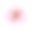 美丽的浅粉色花瓣牡丹特写素材图片