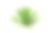 白色背景上的一株绿色龙舌兰素材图片