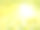 矢量阳光背景与枝叶，洋甘菊和蒲公英。素材图片