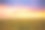 田野上盛开的向日葵在一个背景日落素材图片