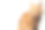 姜猫的肖像在孤立的白色背景素材图片