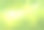 向量绿色桦树的叶子在阳光的背景。素材图片