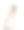 贵宾犬，2岁，坐在白色背景前素材图片