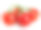 一串鲜红的番茄孤立在白色背景上。素材图片