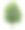孤立的马栗树在白色的背景素材图片