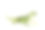 白色背景下的绿色小鬣蜥素材图片