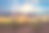 五彩缤纷的索诺拉沙漠日落与仙人掌素材图片