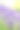 美丽的紫色薰衣草草的特写素材图片