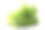 白色背景的绿色长叶莴苣的叶子素材图片