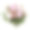 牡丹鲜花花束素材图片
