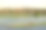尼罗河边的田园风光素材图片