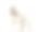 马耳他(5岁)在一个白色的背景素材图片