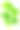 积雪草(Centella asiatica)(厄本)脑补剂素材图片