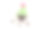 可爱的哈巴狗狗躺下，看起来脾气暴躁，戴着绿色针织帽和粉红色的绒球，孤立在白色的背景素材图片