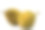 鲜切榴莲白色背景，近距离观看榴莲，榴莲D158素材图片