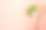 粉红色背景上的热带棕榈叶。最小的概念。平的。素材图片