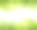 绿色的叶子背景与白色的复制空间，在白色的背景素材图片