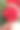 红色花园天竺葵花素材图片