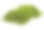 白色背景上的绿色苔藓素材图片