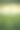 详细的特写照片的绿色谷物田在一个黑暗多云的夏天的一天素材图片