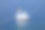 充气白天鹅漂浮在亚得里亚海，克罗地亚素材图片