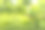 红绿长尾鹦鹉亚历山大长尾鹦鹉，凤头鹦鹉素材图片